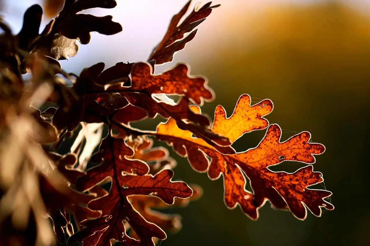 Skandinavisk stil 2.0: Naturlige materialer, varme toner og personlige detaljer